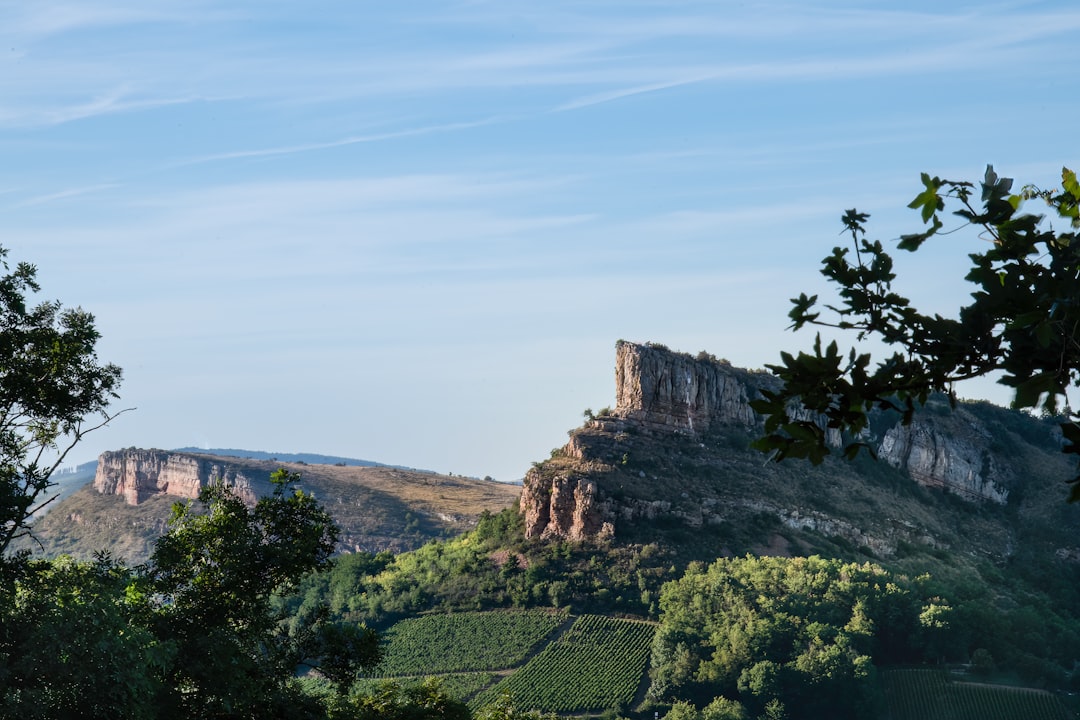 A Guide to Wine Tasting in Bordeaux